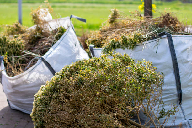 Best Office Junk Removal  in Hays, NC